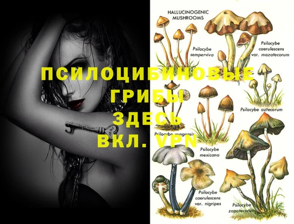 а пвп мука Пестово