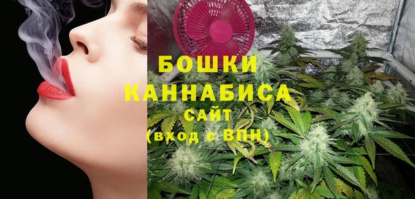 jwh Пересвет