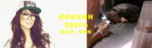 jwh Пересвет