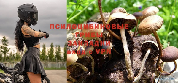 а пвп мука Пестово