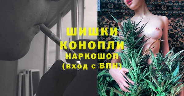 jwh Пересвет