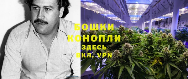 jwh Пересвет