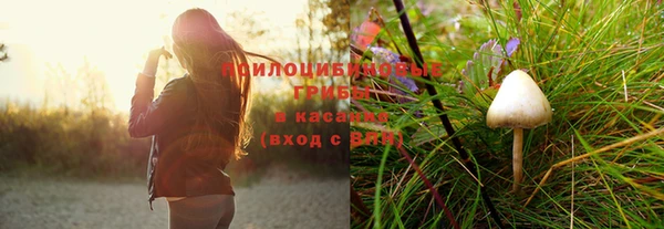 гидропоника Переславль-Залесский