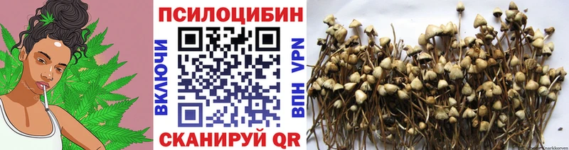 Купить закладки  Игра  Псилоцибиновые грибы Magic Shrooms 